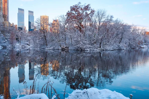 Central Park. Nova Iorque. . — Fotografia de Stock