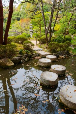 Japon bahçe peyzaj. Güzel doğa arka plan