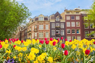 Amsterdam city view with typical dutch houses and blooming flowe