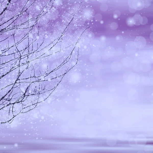 Winter twigs texture — Stock Photo, Image