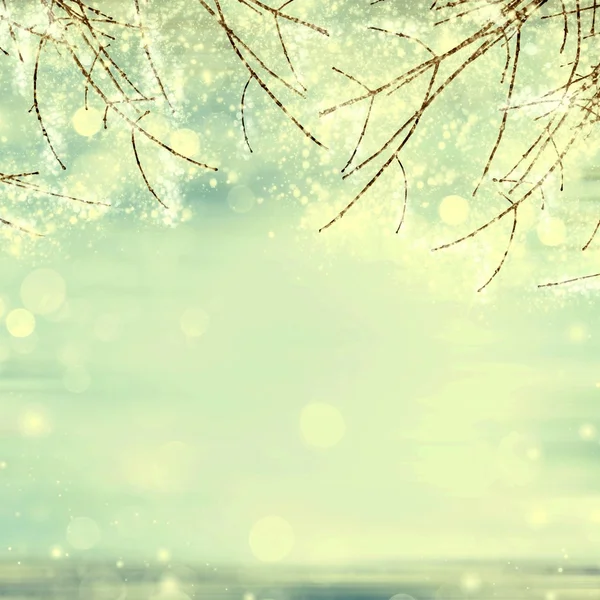 Vinter kvistar textur — Stockfoto