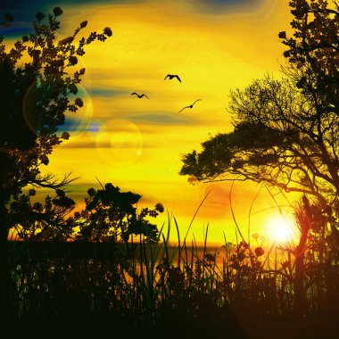 güzel renkli manzara