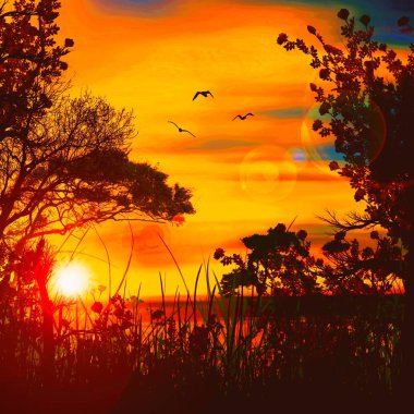 Ağaçların parlak gökyüzü altında