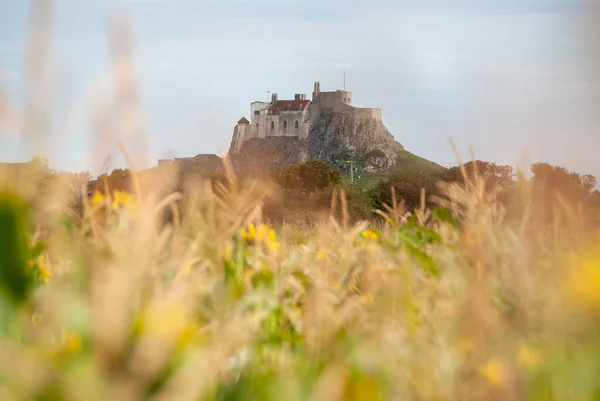 Замок Ліндісфарн, що дивився крізь довгу траву і через соняшникове поле — стокове фото
