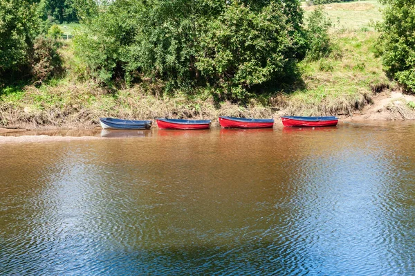 Barco de remos azul seguido de tres botes de remos rojos, todos amarrados al lado de un río —  Fotos de Stock