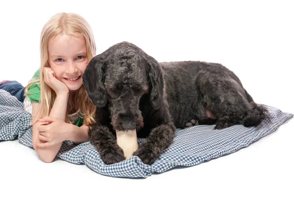 Happy little girl with labradoodle that is chewing on a bone. Isolated on white studio background Royalty Free Stock Images