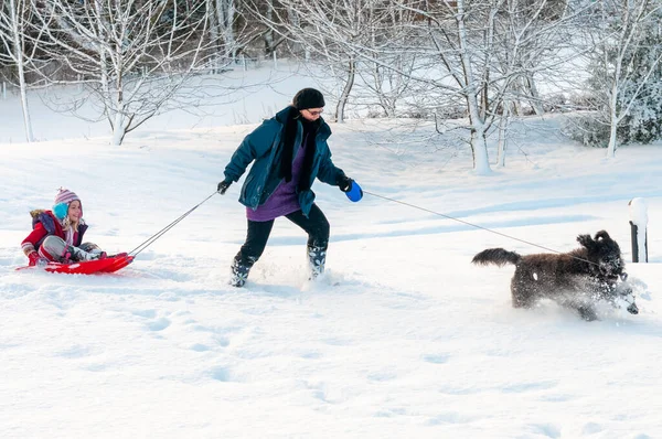Zwarte hond leidende moeder met dochter sleeën achter door diepe sneeuw in een landelijke omgeving — Stockfoto