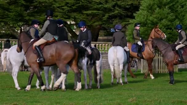 Aske Hall Richmond North Yorkshire February 2020 Young Fox Hunters — Stock Video