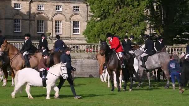 Aske Hall Richmond North Yorkshire Лютого 2020 Кінь Їздить Полювання — стокове відео