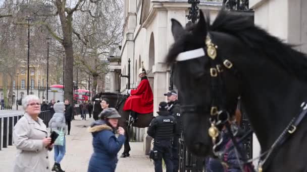 Londen Februari 2020 Armed Police Mounted Trooper Household Cavalry Standing — Stockvideo