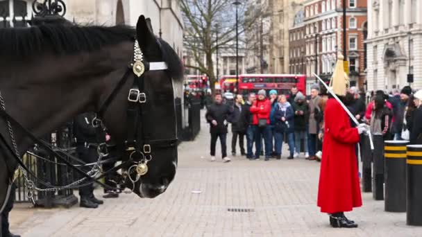 Londres Febrero 2020 Cerrar Cabeza Del Caballo Con Soldado Caballería — Vídeo de stock