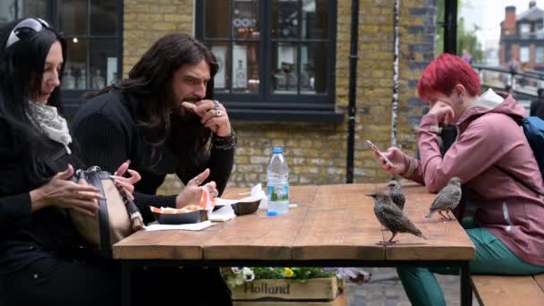 Londres Septiembre 2019 Hombre Alimenta Pájaro Comedor Aire Libre Camden — Vídeos de Stock