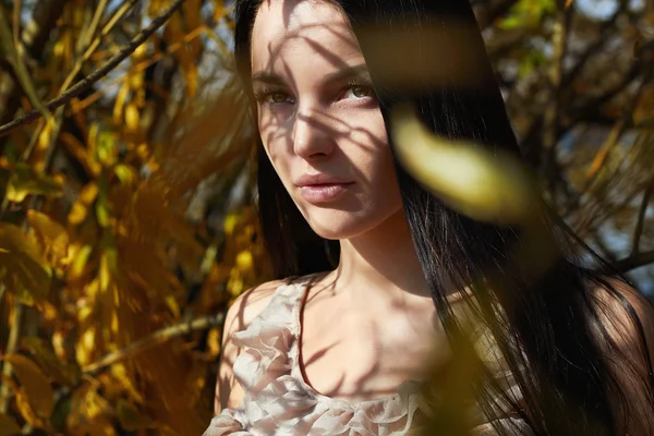 Schöne Frau umgeben Herbstblätter. Schönheit Mädchen zu Fuß im Wald — Stockfoto