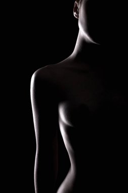 Female Nude Silhouette in the dark clipart