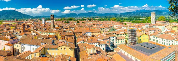 Aerial Top Panoramisch Uitzicht Het Historische Centrum Middeleeuwse Stad Lucca — Stockfoto