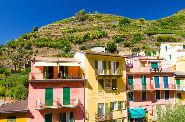 Manarola, Italy, September 9, 2018: Typical italian buildings houses and green vineyard terraces in valley, village National park Cinque Terre in sunny day blue sky, La Spezia province, Liguria