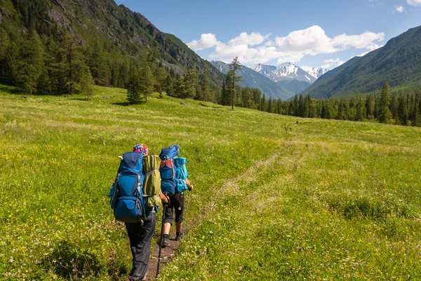 Mladí lidé jsou pěší turistika, Vysočině Altaje, Rusko — Stock fotografie