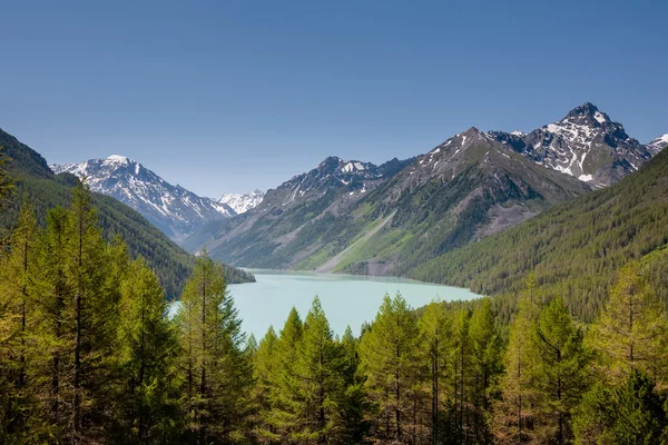 호수와 알타이 산맥의 고지대의 아름 다운 풍경 — 스톡 사진