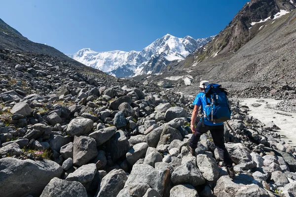 Hiker in highlands of Altai mountains, Russia — Stock fotografie