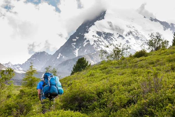 Uzun yürüyüşe çıkan kimse dağlık Altay Dağları, Rusya Federasyonu — Stok fotoğraf