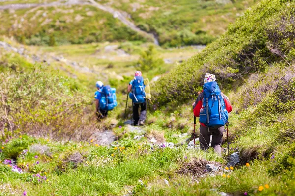 Unga människor är vandring i höglandet i Altai-bergen, Ryssland — Stockfoto