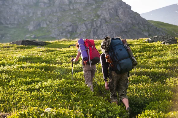 Unga människor är vandring i höglandet i Altai-bergen, Ryssland — Stockfoto