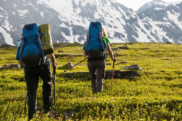 Young people are hiking in highlands of Altai mountains, Russia