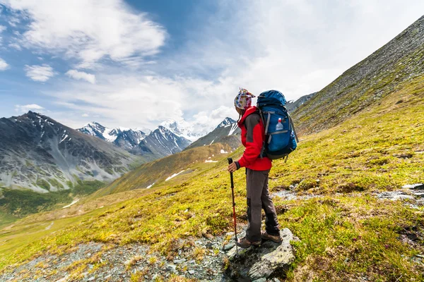Hiker in highlands of Altai mountains, Russia — Stock fotografie