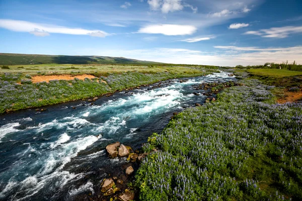 View at Icelandic plains during summertime — Stock Photo, Image
