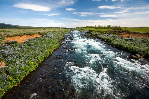 View at Icelandic plains during summertime — Stock Photo, Image