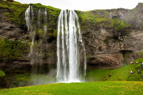Seljalandsfoss 最著名的冰岛瀑布之一 — 图库照片