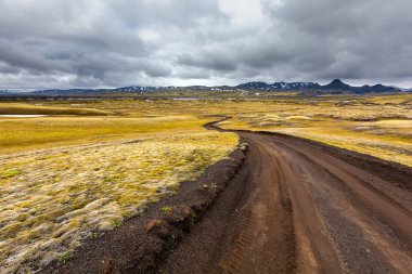 İzlanda ovaları yaz aylarında görüntülemek