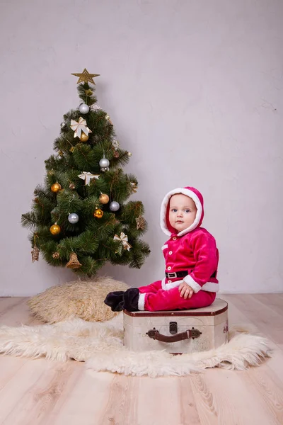 Roztomilý malý Santa pózuje ve studiu poblíž novoroční strom — Stock fotografie