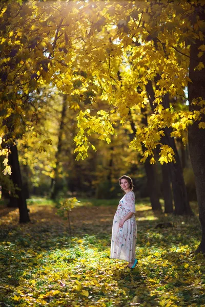 ผู้หญิงท้องในฤดูใบไม้ร่วง — ภาพถ่ายสต็อก