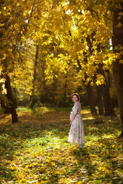 Donna incinta in autunno — Foto Stock