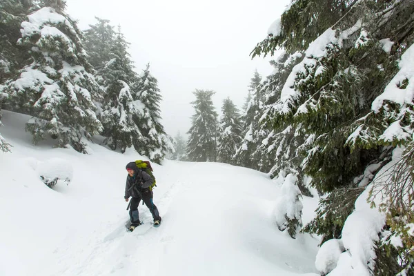 El hombre está de excursión en el bosque de invierno en el día nublado — Foto de Stock