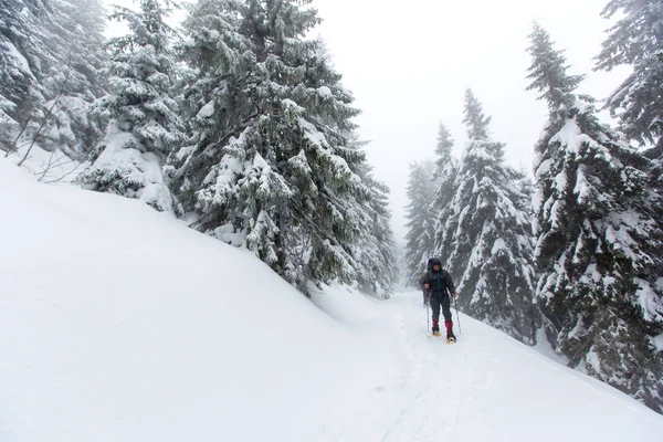 Man Wandelen Winter Bos Bewolkte Dag — Stockfoto