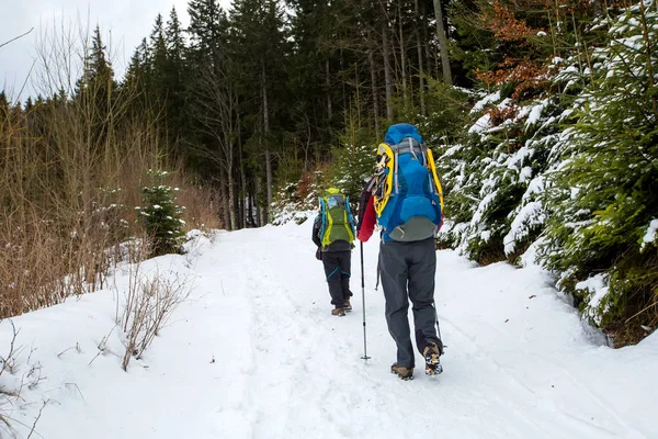 Man is wandelen in winter bos op bewolkte dag — Stockfoto