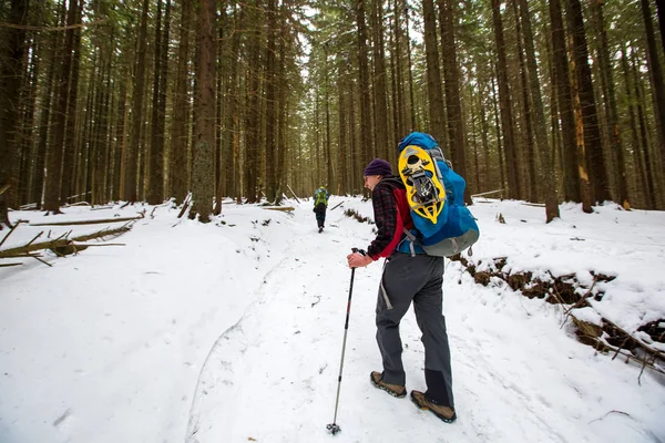 Homem está caminhando na floresta de inverno no dia nublado — Fotografia de Stock