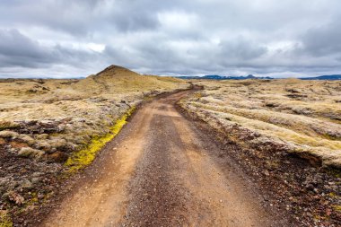 İzlanda ovaları yaz aylarında görüntülemek