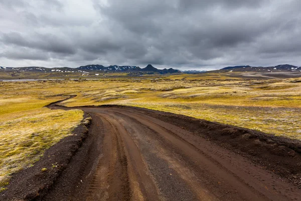 Visa på isländska slätterna under sommaren — Stockfoto
