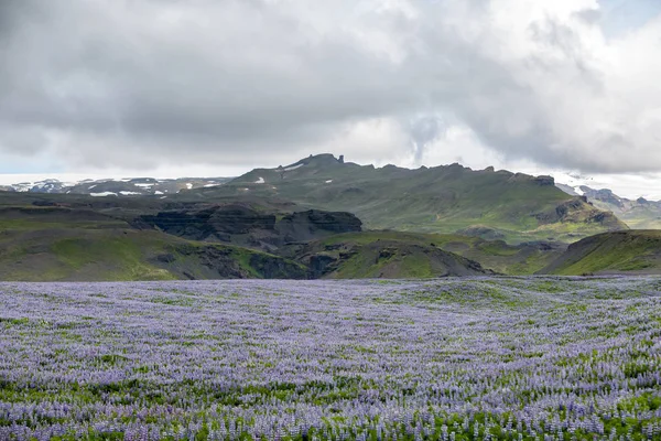 IJslandse vlakten bekijken gedurende de zomermaanden — Stockfoto