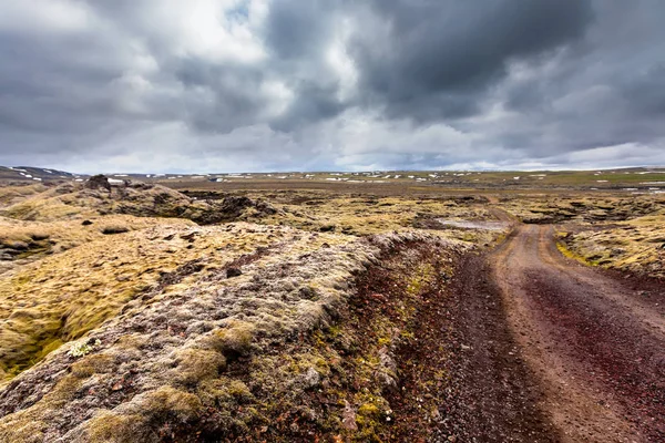 Vista en las llanuras islandesas durante el verano — Foto de Stock