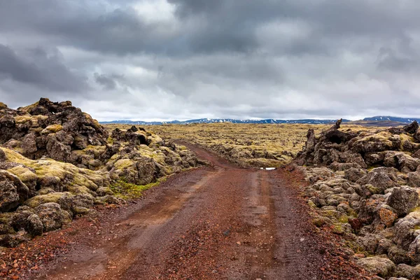 Vista para as planícies islandesas durante o verão — Fotografia de Stock