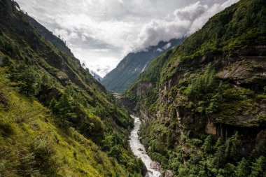 Green valley on Manaslu circuit in Himalaya mountains, Nepal  clipart