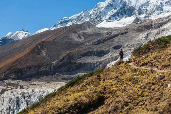 Trekker Frente Glaciar Manaslu Circuito Senderismo Manaslu Nepal — Foto de Stock