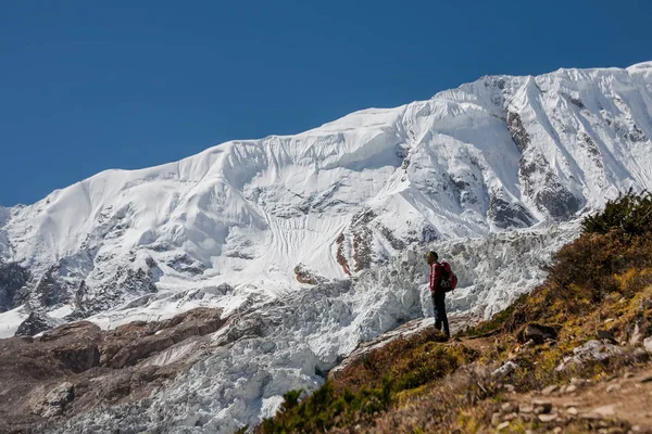 Trekker před Manaslu ledovec na okruhu, Manaslu trek v N — Stock fotografie