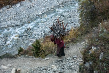 Ekim 9, 2013, kadınlar evlerinde highland için Kuru odun taşımak