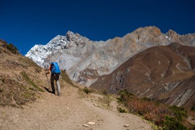 Manaslu devre üzerinde Trekker trek Nepal'de