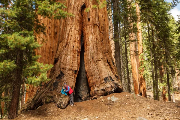 Moeder met kind bezoek Sequoia national park in Californië, ons — Stockfoto